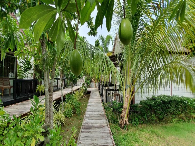 Isle Beach Resort image