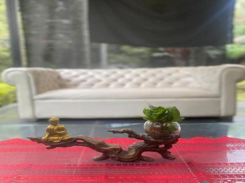 Aromax Del Campestre image