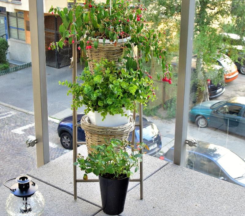 Apartamenty Homely Place Parking image