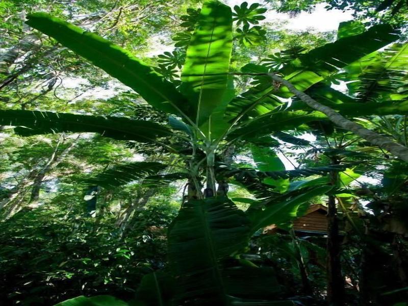 Tierra Guarani image