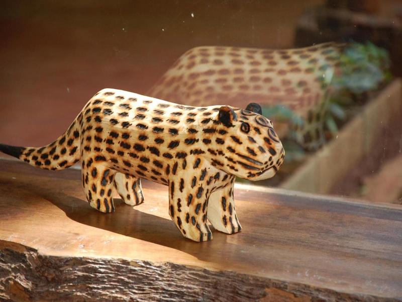 Tierra Guarani image