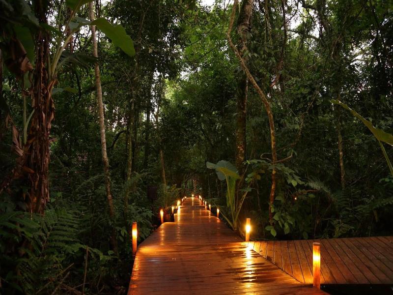 Tierra Guarani image