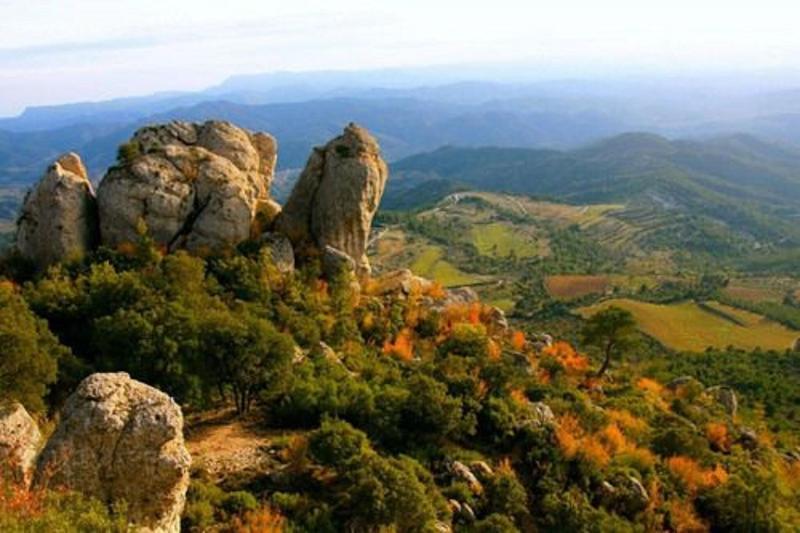 Terra Dominicata - Hotel & Winery image