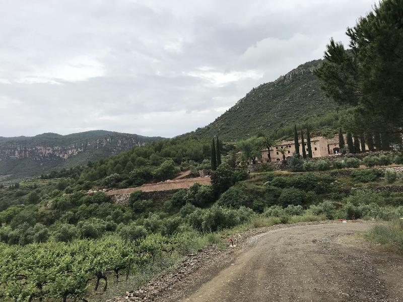 Terra Dominicata - Hotel & Winery image