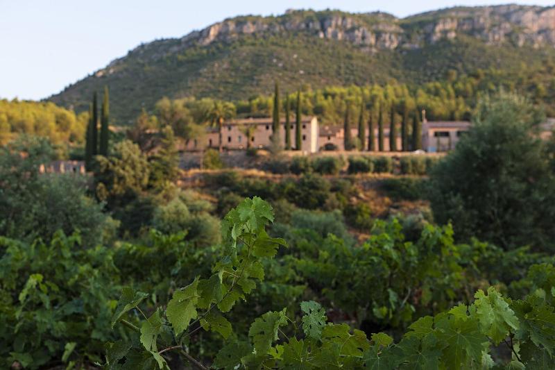 Terra Dominicata - Hotel & Winery image