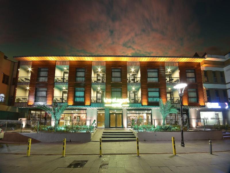 The Elegant Hotel image
