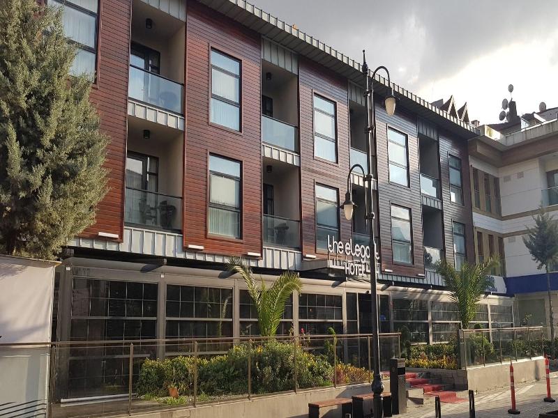 The Elegant Hotel image