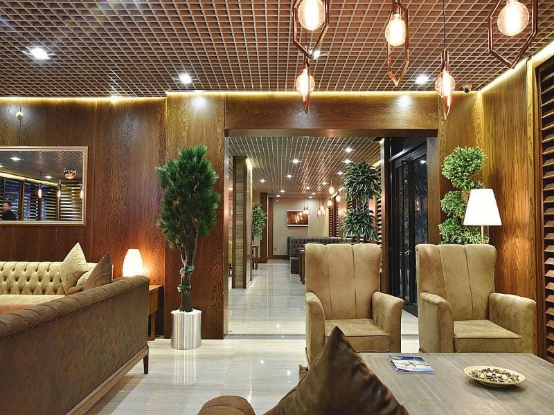 The Elegant Hotel image