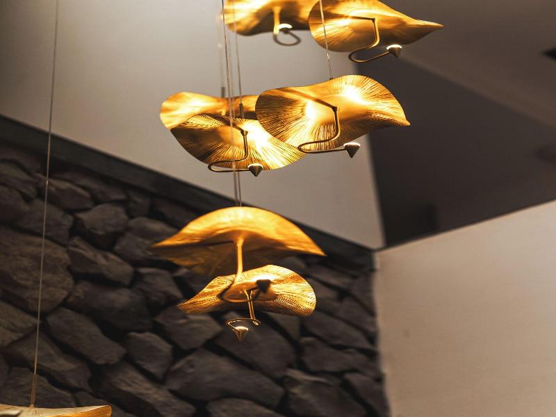 Nita by Vo Luxury Hotel image