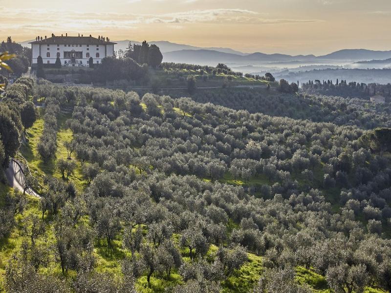 Tenuta Di Artimino Apartments image