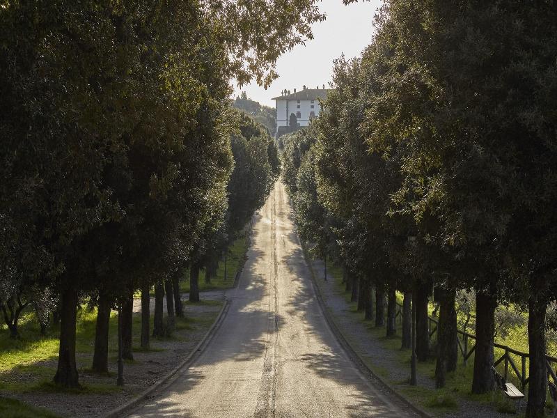 Tenuta Di Artimino Apartments image