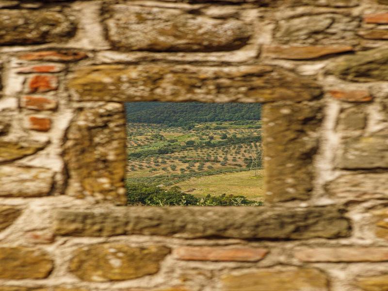 Tenuta Di Artimino Apartments image