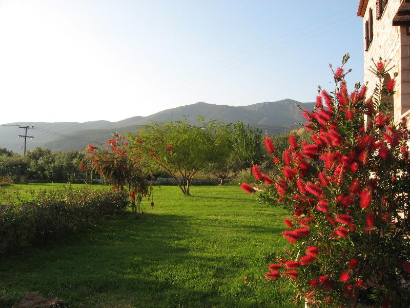 Polismata image