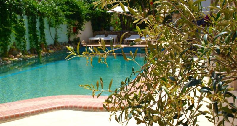 Pighi Hotel Kriopigi
