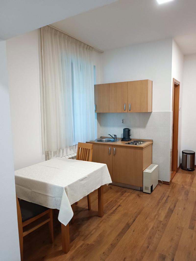 Vila Drina image