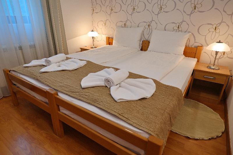 Vila Drina image