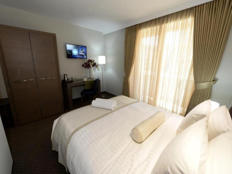 Hotel Alexandar II image
