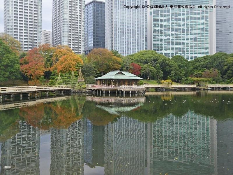 Keikyu EX Inn Higashiginza image