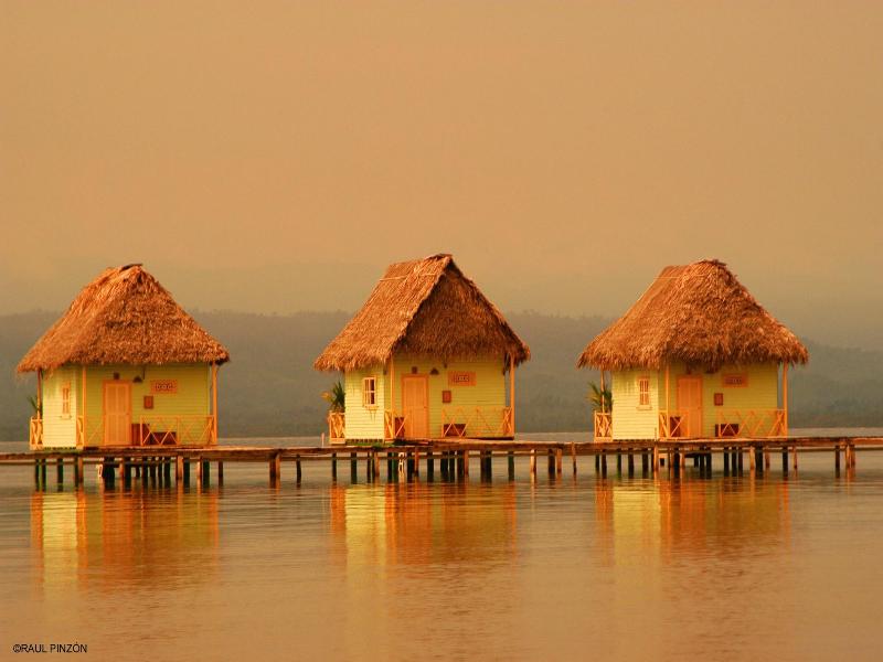 punta caracol acqua-lodge image
