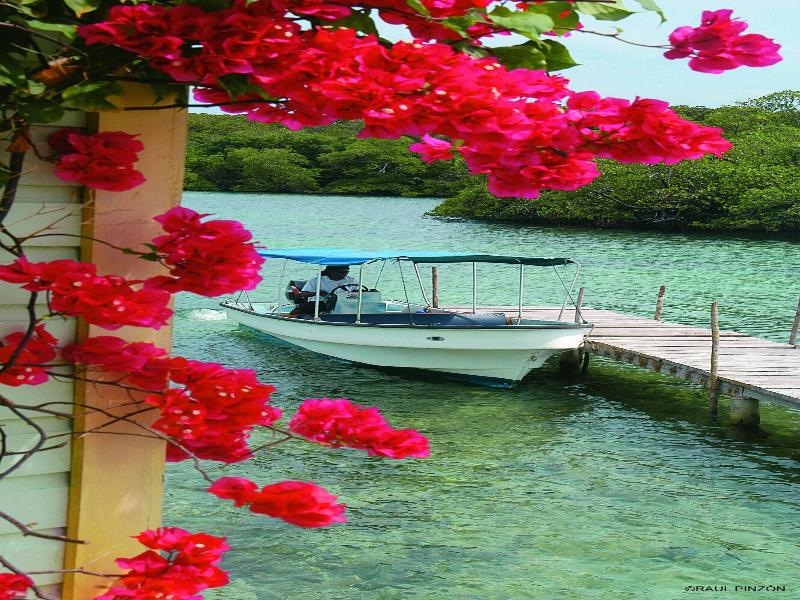 punta caracol acqua-lodge image