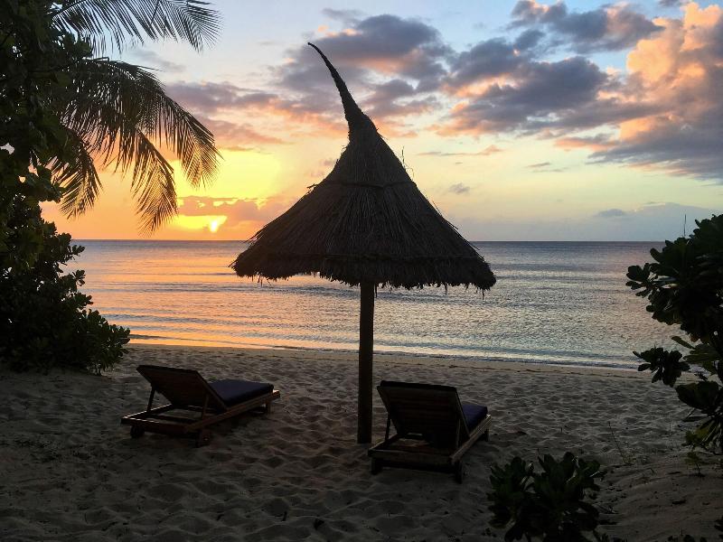 Octopus Resort image