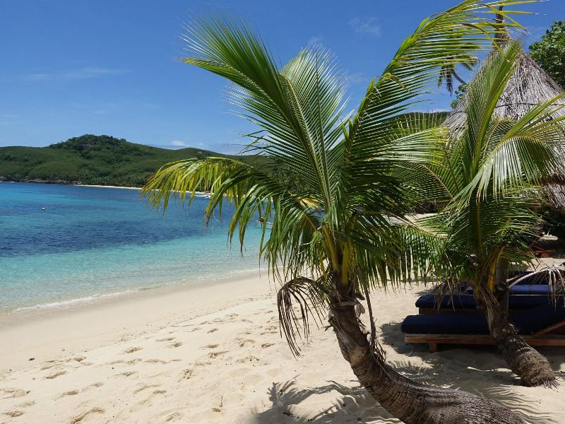 Octopus Resort image