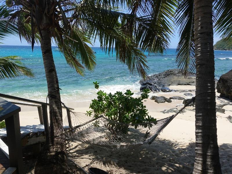 Octopus Resort image