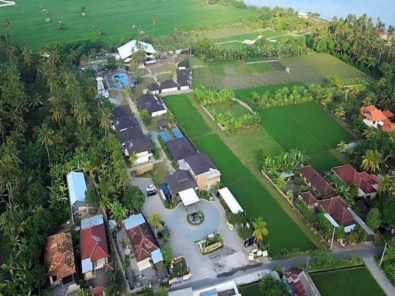 Brits Resort Lovina image