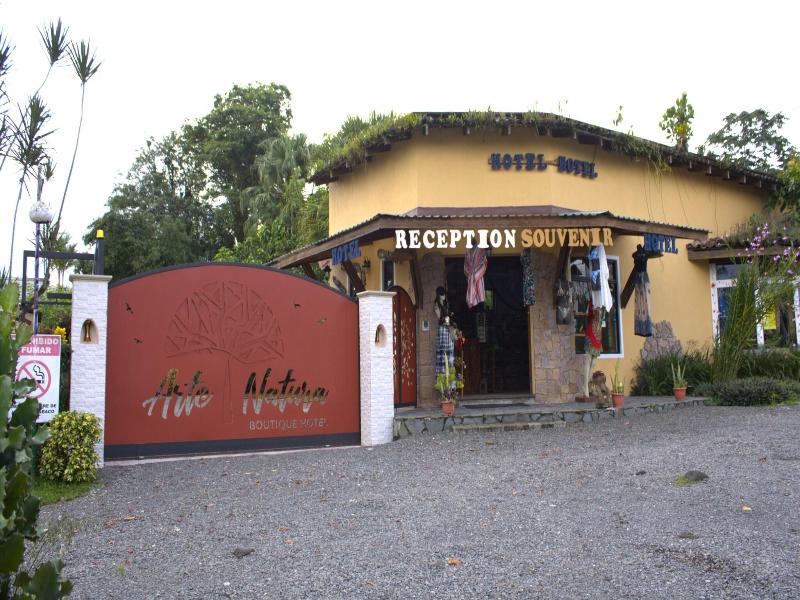 Hotel Vagabondo image