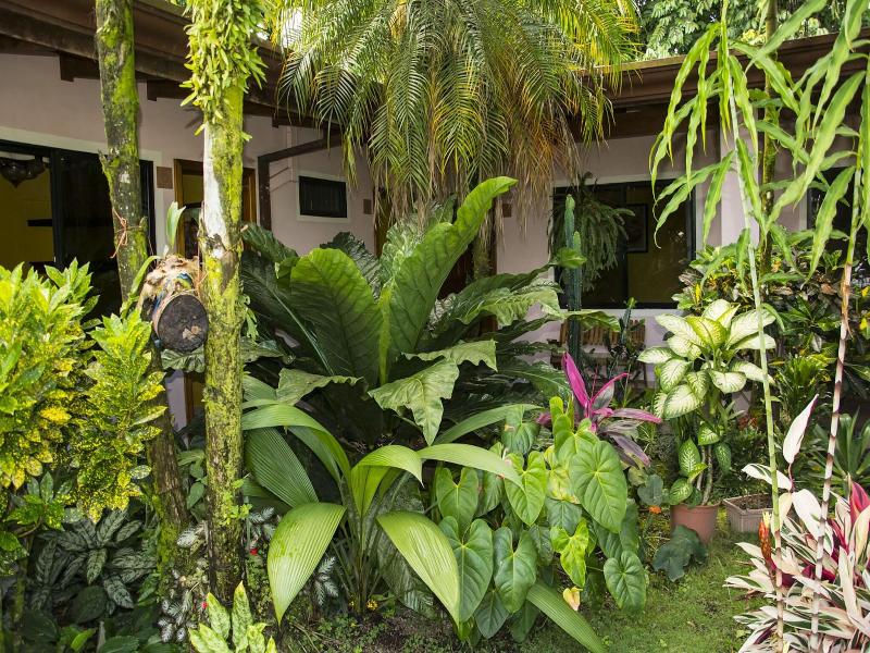 Hotel Vagabondo image