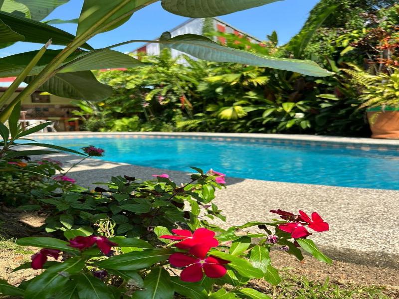 Hotel Vagabondo image