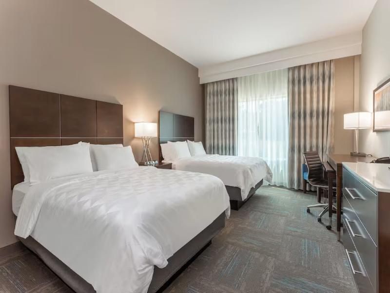 Holiday Inn & Suites Jefferson City By IHG image