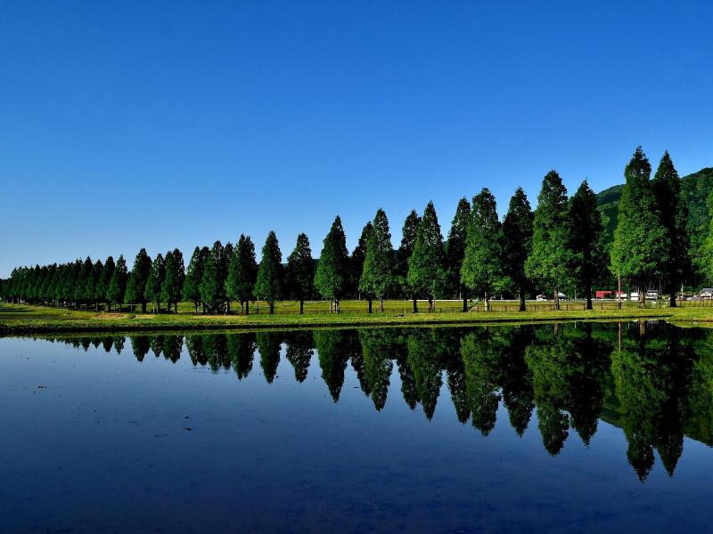 Okubiwako Makino Grand Park Hotel image