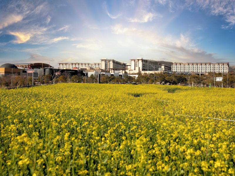 Somerset Jeju Shinhwa World — photo 17