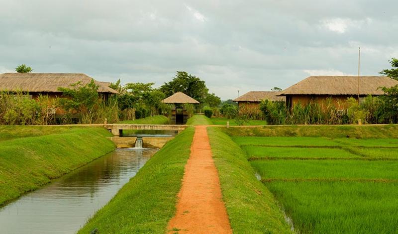 Water Garden Sigiriya