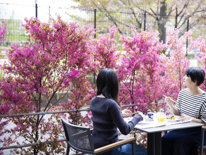 Ariston Hotel Kyoto Jujo image