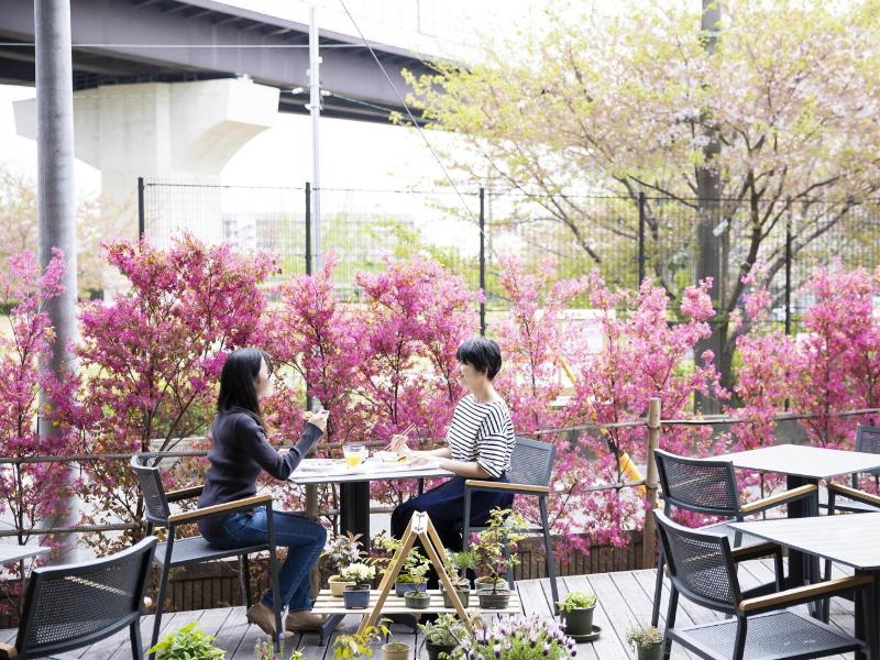Ariston Hotel Kyoto Jujo image