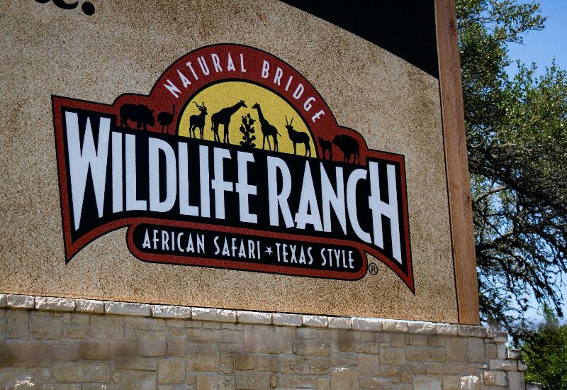 Staybridge Suites SAN ANTONIO - SCHERTZ image