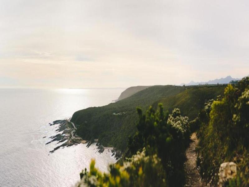 Misty Mountain Reserve
