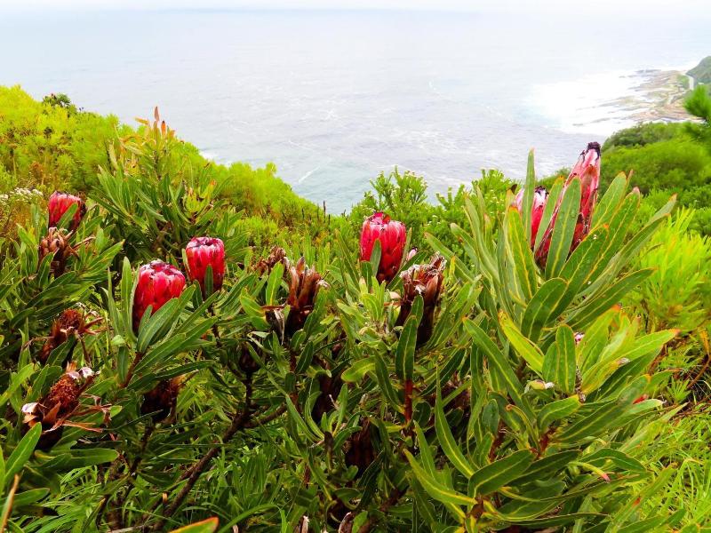 Misty Mountain Reserve