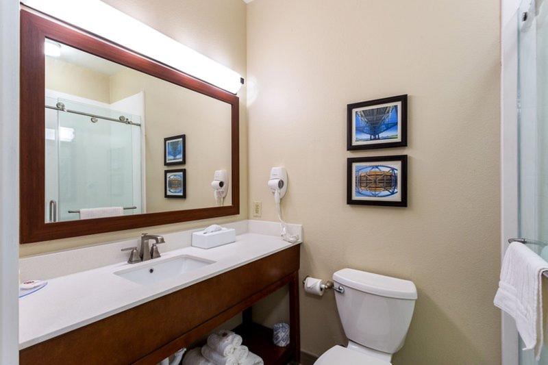 Comfort Inn & Suites Airport Baton Rouge