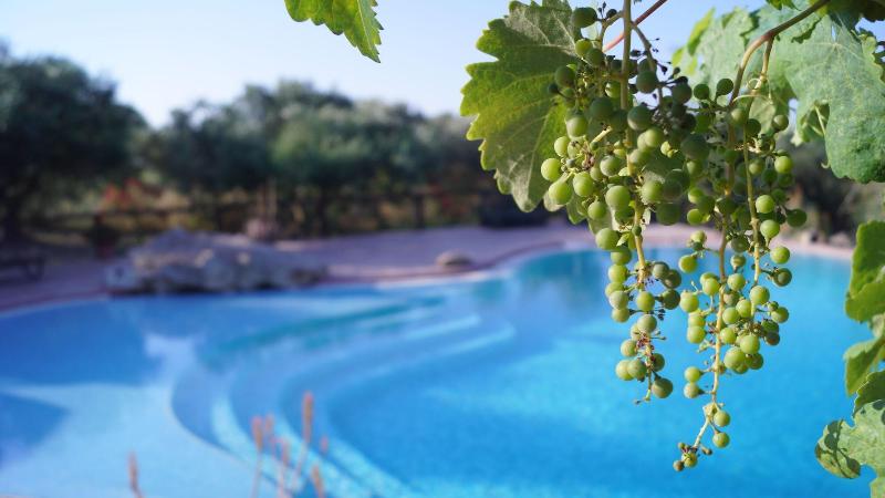 Volidiera Guest House image