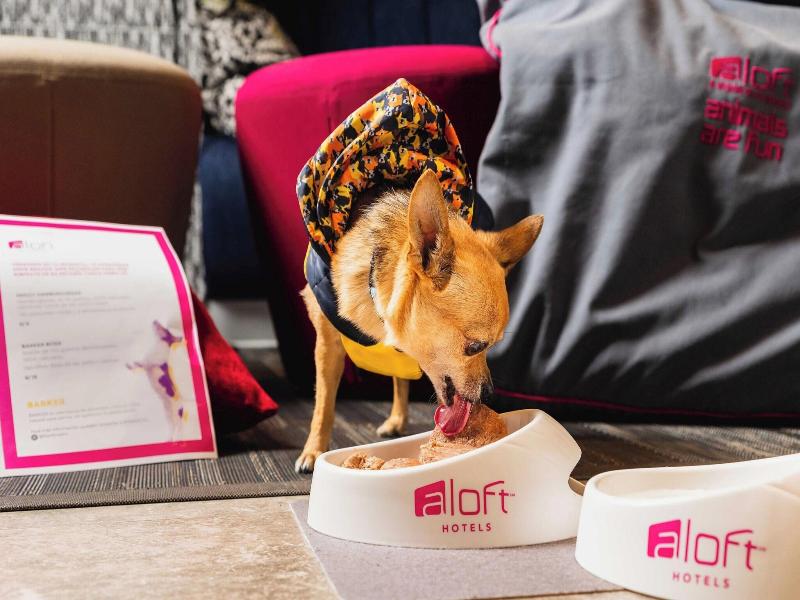 Aloft Lima Miraflores image