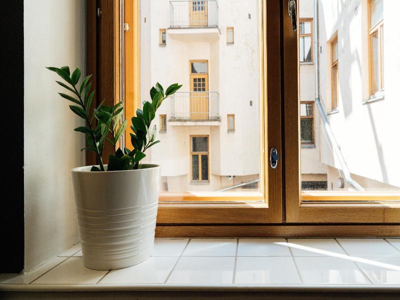 The yard concept Hostel image