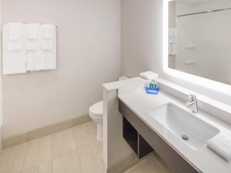 Holiday Inn Exp & Sts Indianapolis NW - Zionsville image