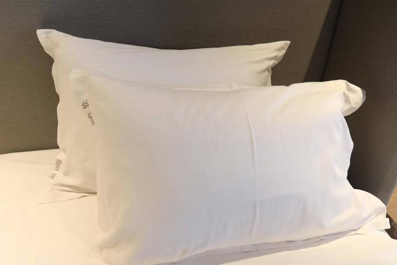 Holiday Inn Express Luanchuan image 6