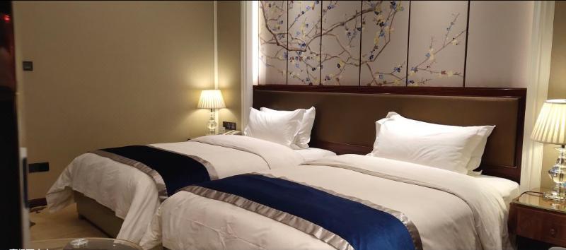 Days Hotel Chongqing Kaichuang 5