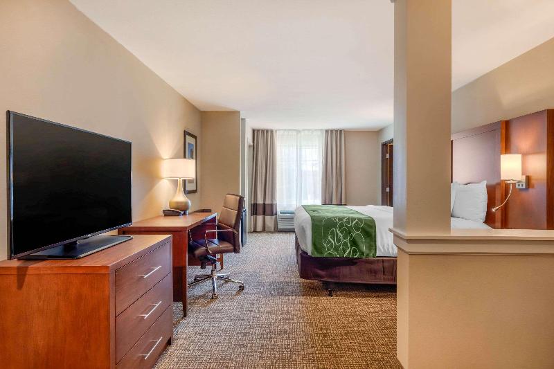 Comfort Inn & Suites Schenectady - Scotia image