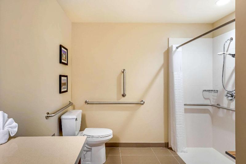 Comfort Inn & Suites Schenectady - Scotia image