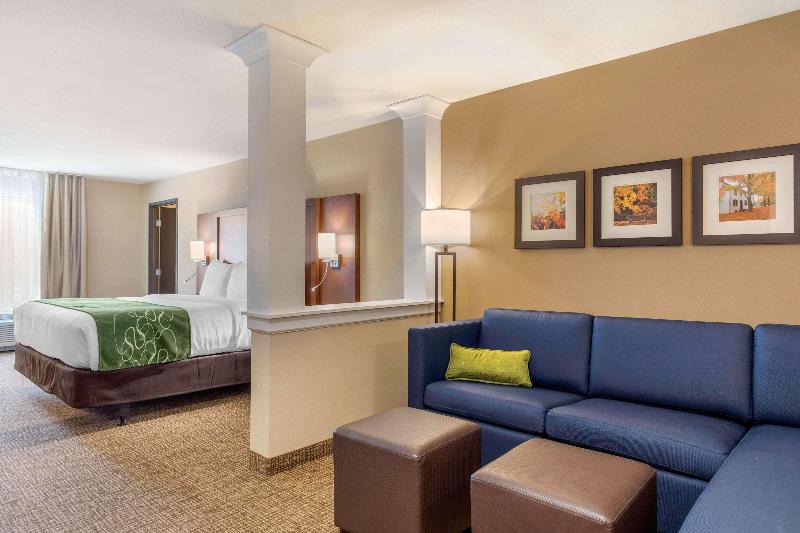 Comfort Inn & Suites Schenectady - Scotia image